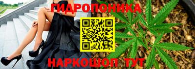 прущая мука Кингисепп